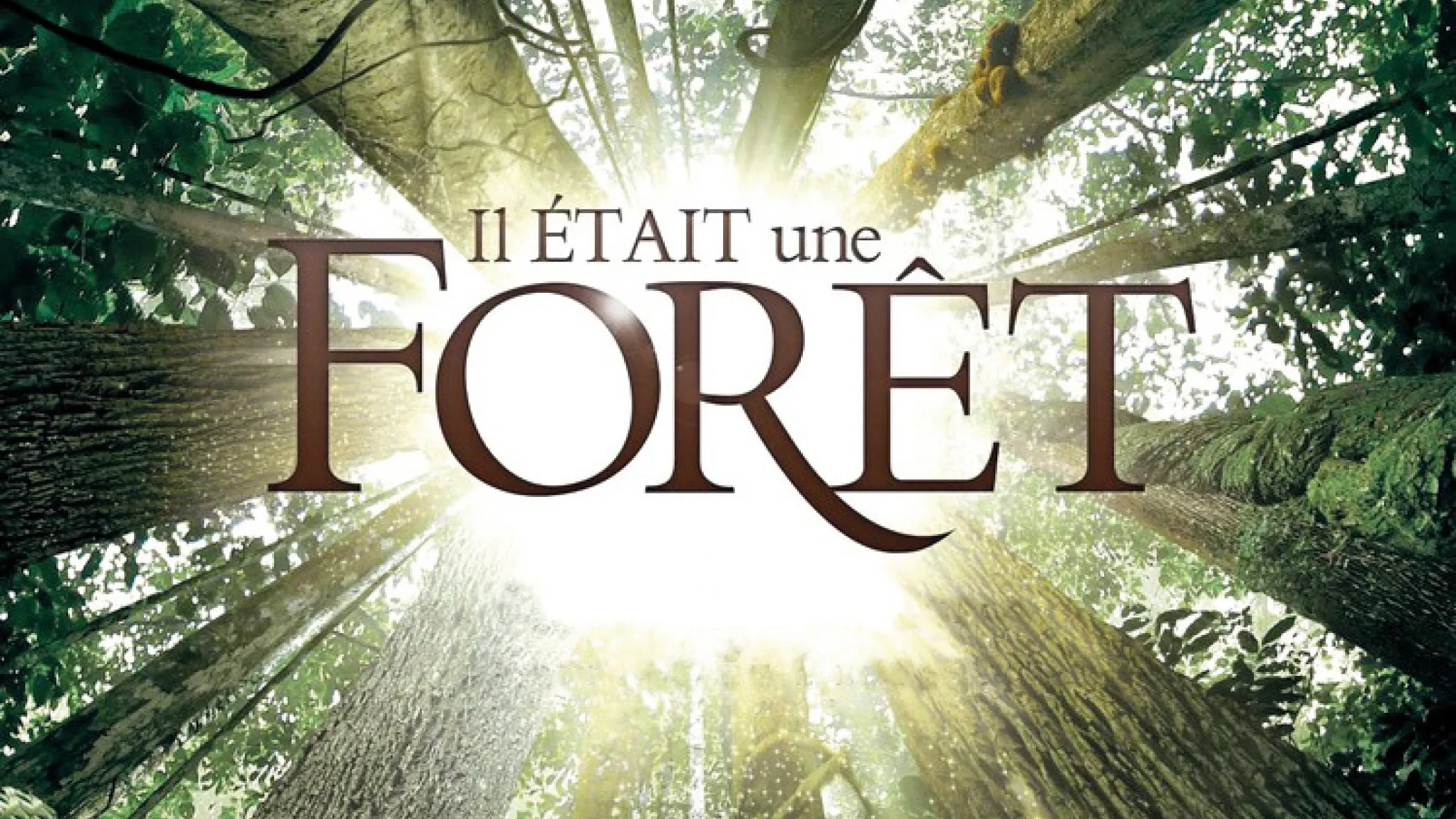 Once upon a forest